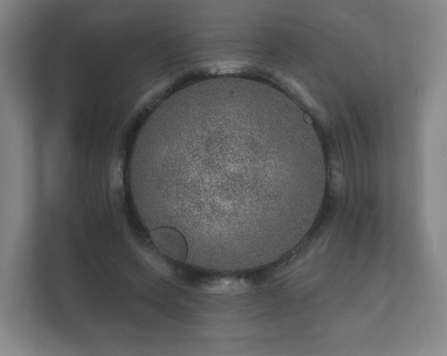 X0000112380543200908201524