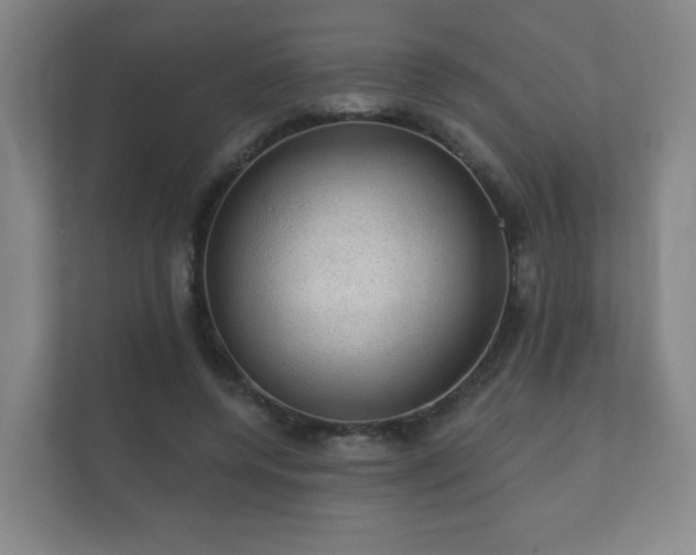 X0000112380544200908201524