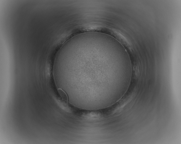 X0000112380546200908201524