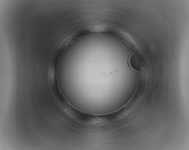 X0000112380549200908201524