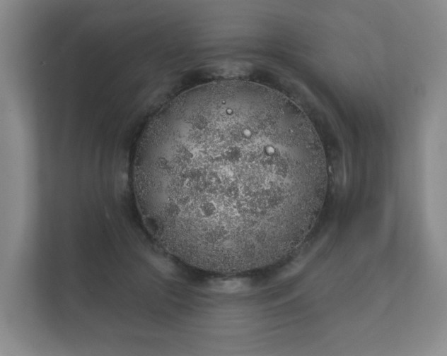 X0000112380553200908201524