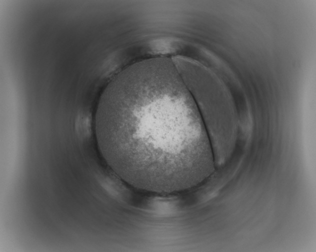 X0000112380556200908201524