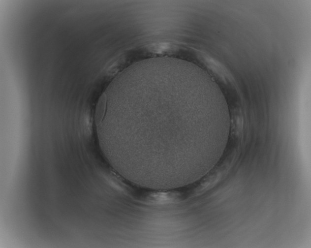 X0000112380558200908201524