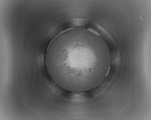 X0000112380560200908201524