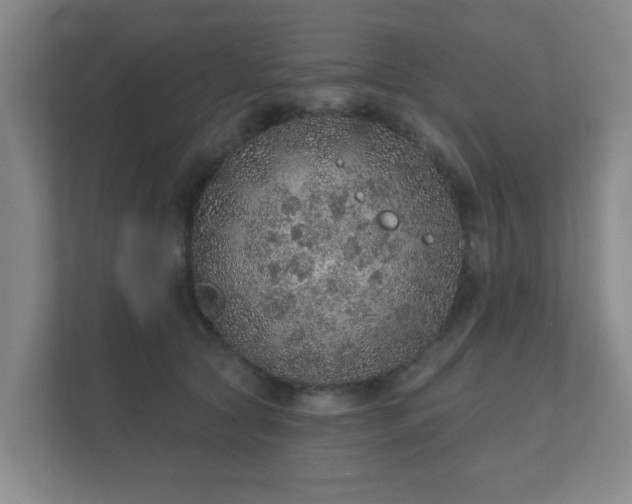 X0000112380561200908201524