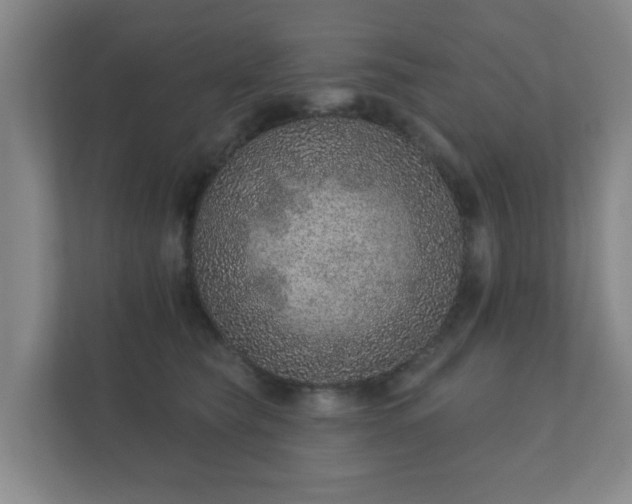 X0000112380565200908201524