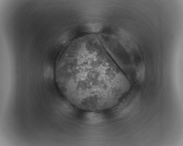 X0000112380568200908201524