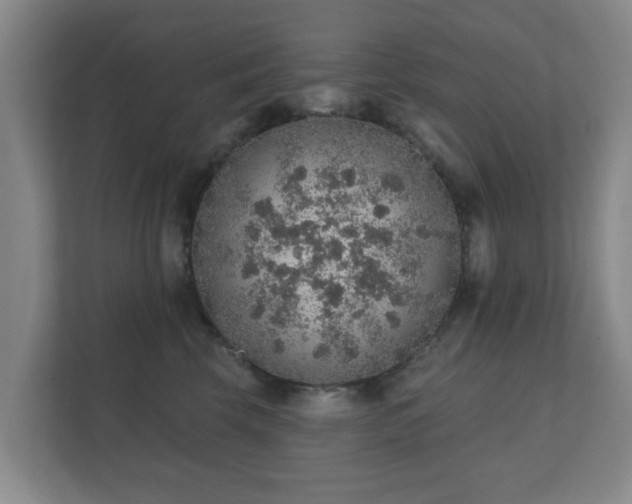 X0000112380569200908201524