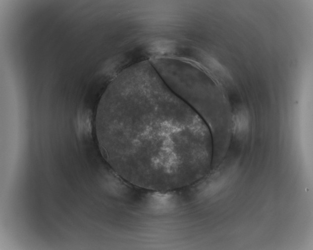 X0000112380570200908201524