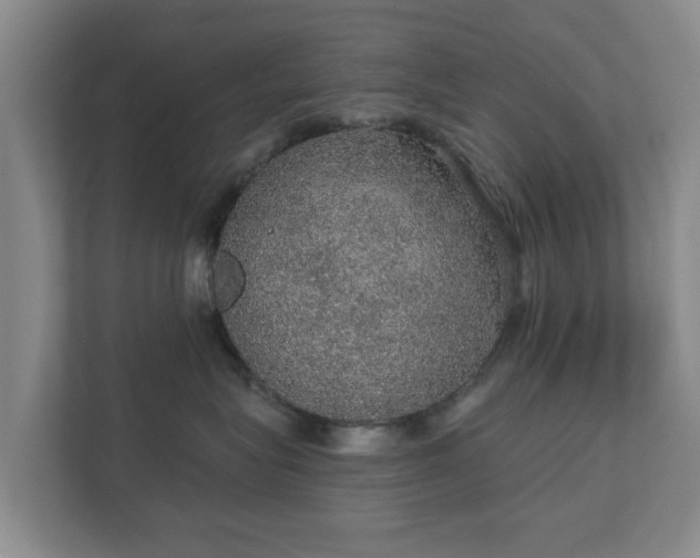 X0000112380575200908201524