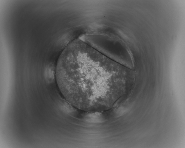 X0000112380576200908201524