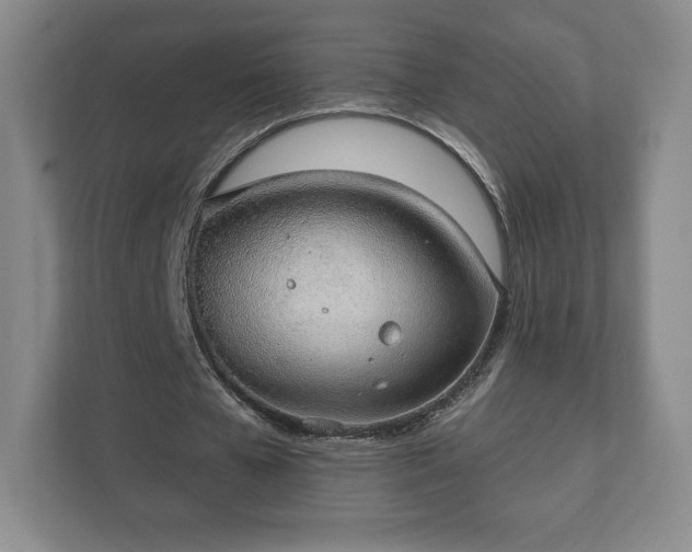 X0000112380577200908201524