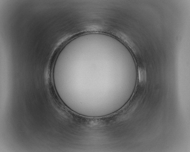 X0000112380579200908201524