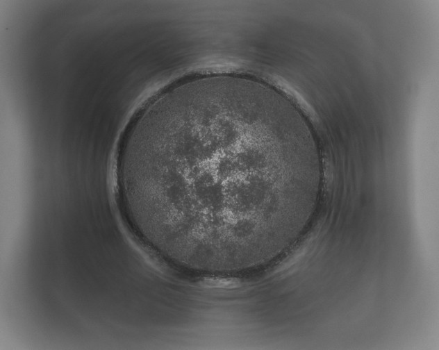 X0000112380582200908201524