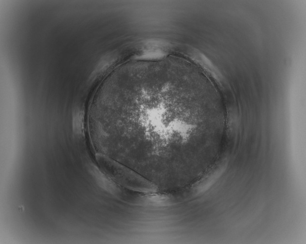 X0000112380585200908201524