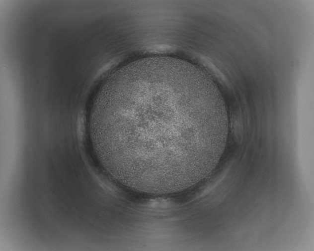 X0000112380591200908201524