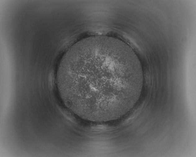 X0000112380594200908201524