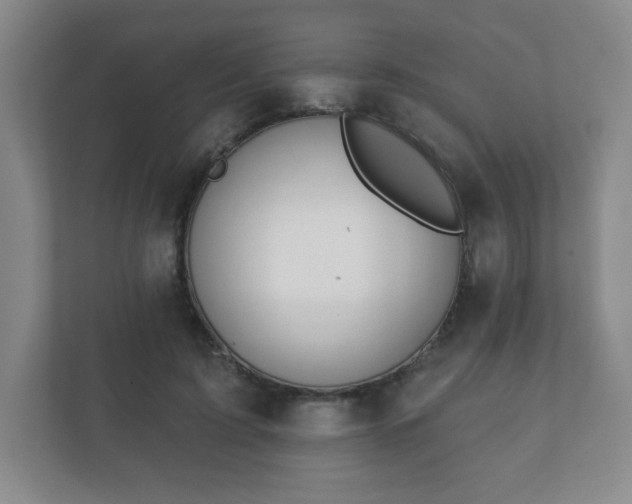 X0000112380595200908201524