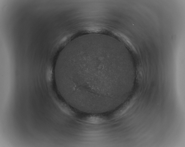 X0000112380596200908201524