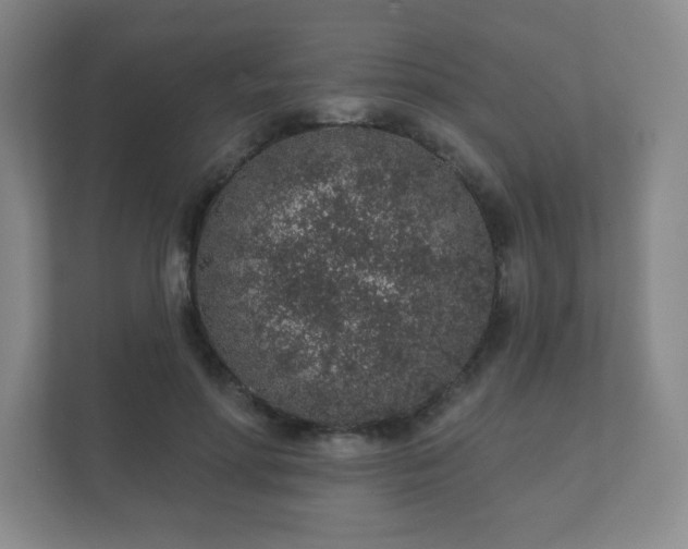 X0000112380598200908201524