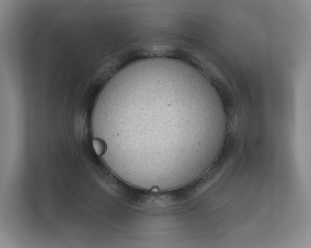 X0000112380599200908201524