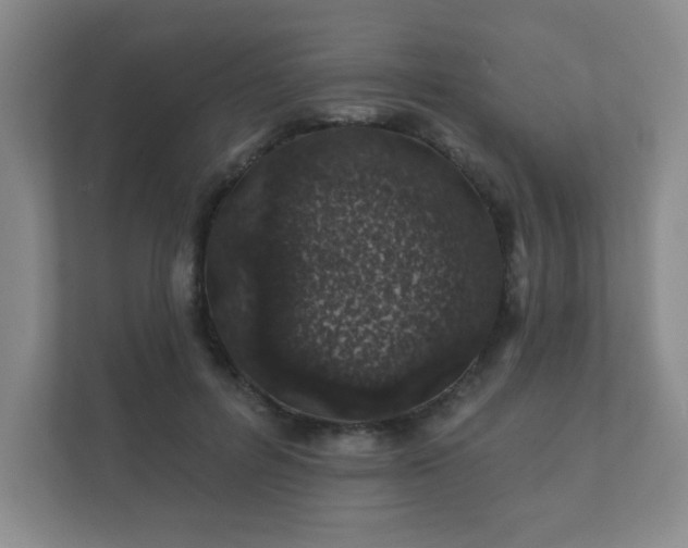 X0000112380600200908201524