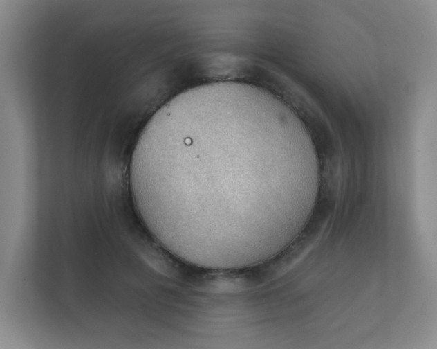 X0000112380601200908201524