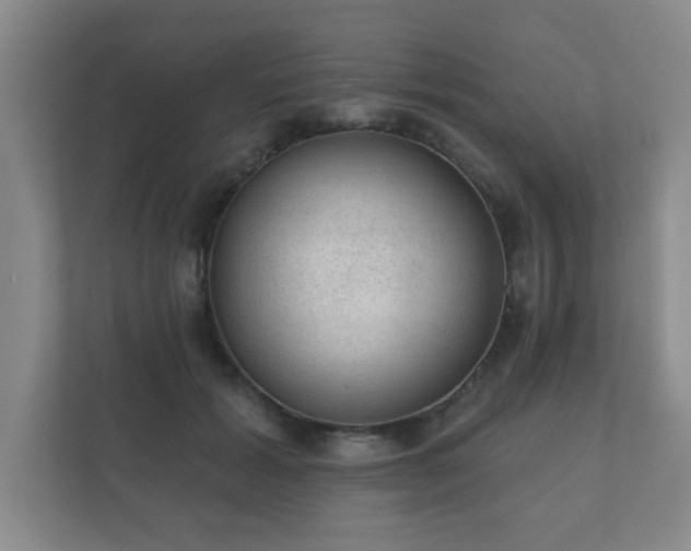 X0000112380605200908201523