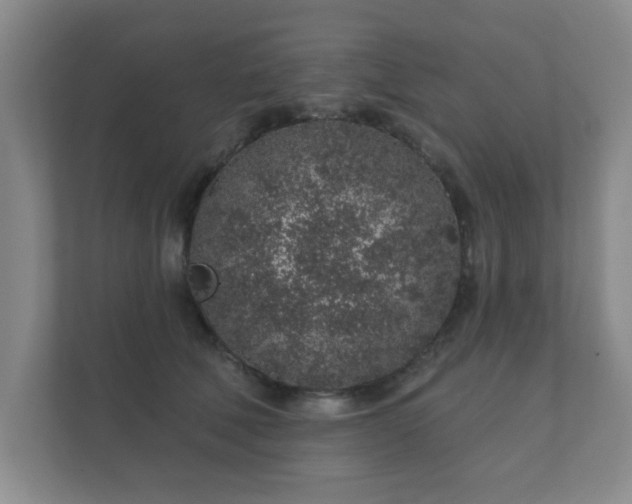 X0000112380610200908201523