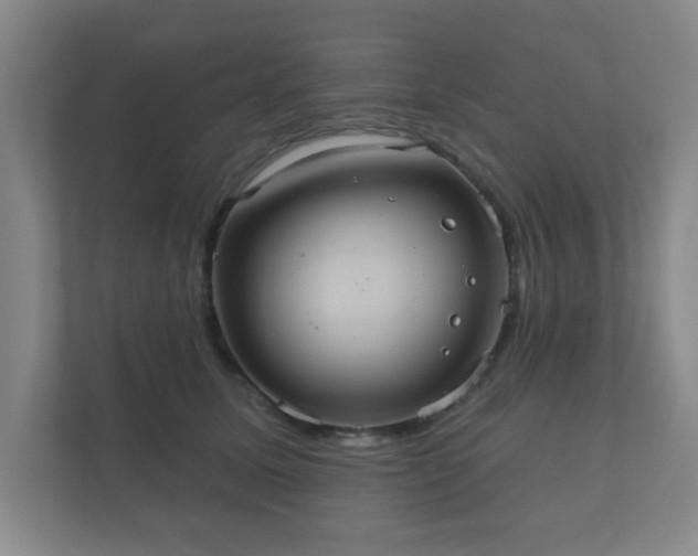 X0000112380611200908201523