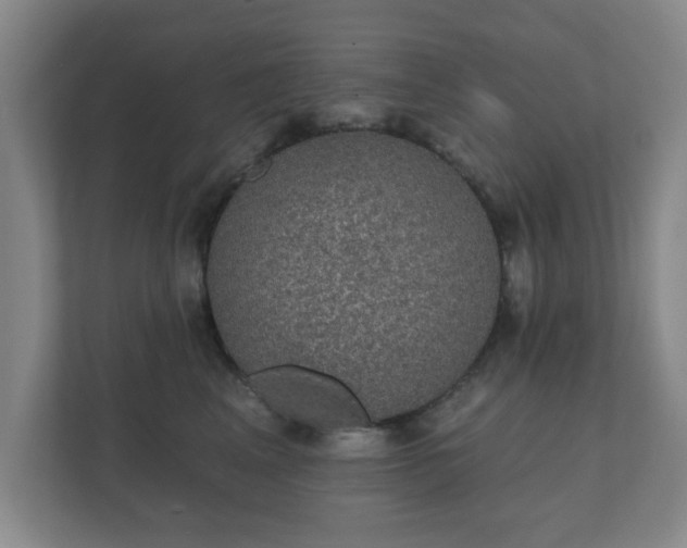 X0000112380617200908201523