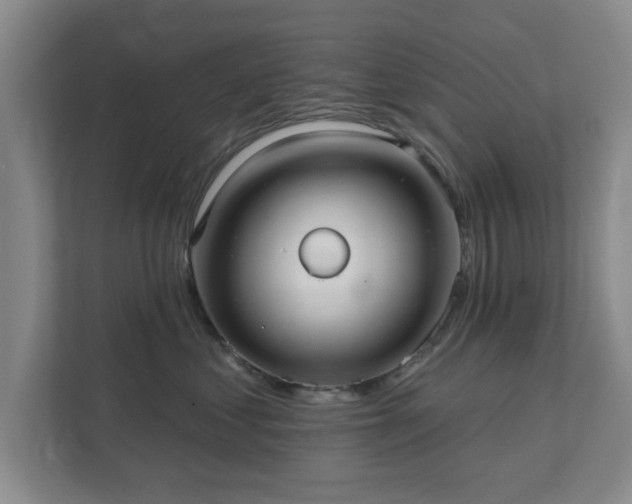 X0000112380621200908201523