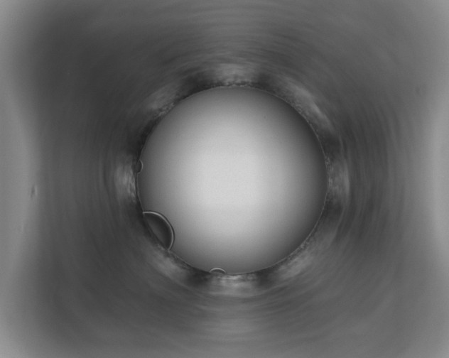 X0000112380622200908201523