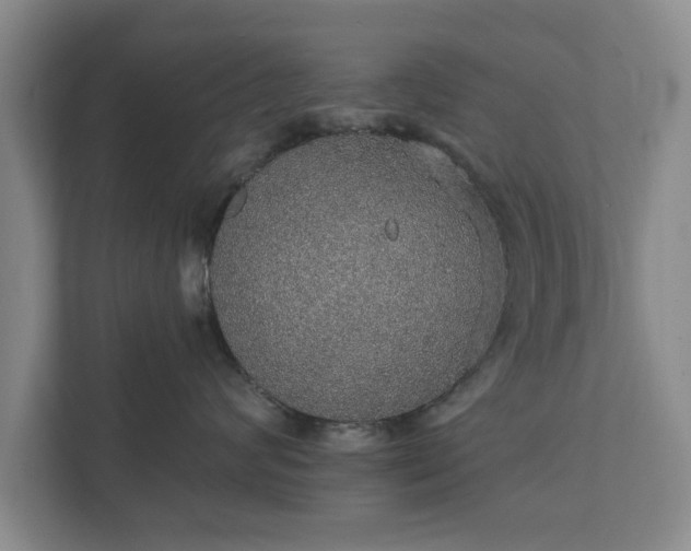 X0000112380624200908201523