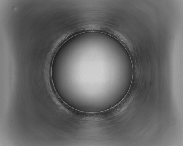 X0000112380625200908201523