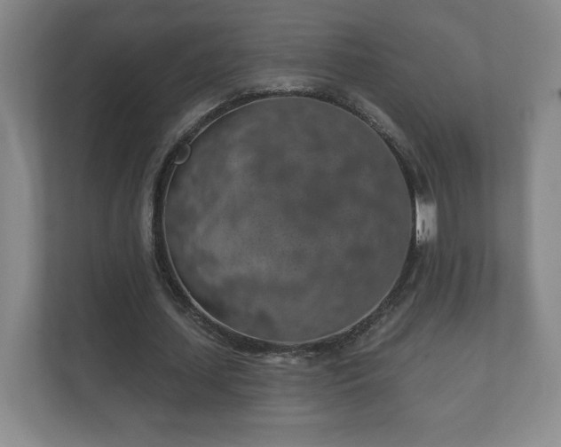 X0000112380627200908201523