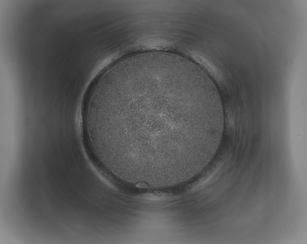 X0000112380630200908201523