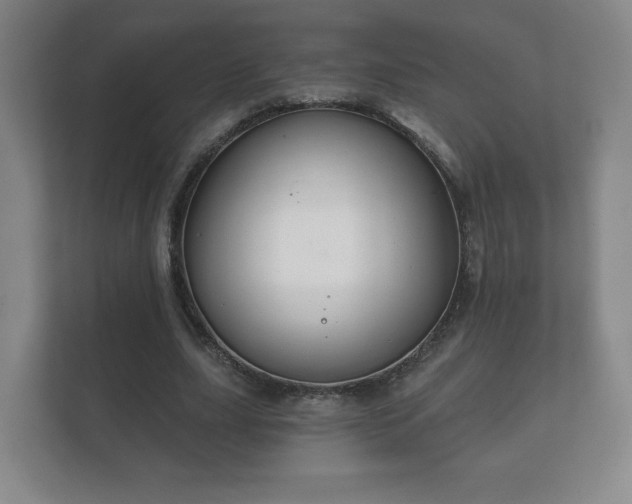 X0000112380631200908201523