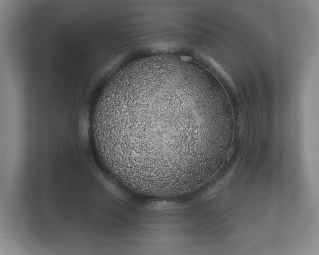 X0000112380637200908201523