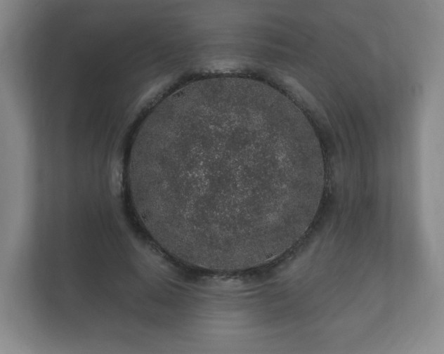 X0000112380640200908201523