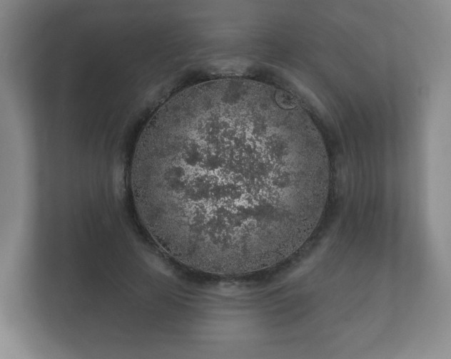 X0000112380641200908201523