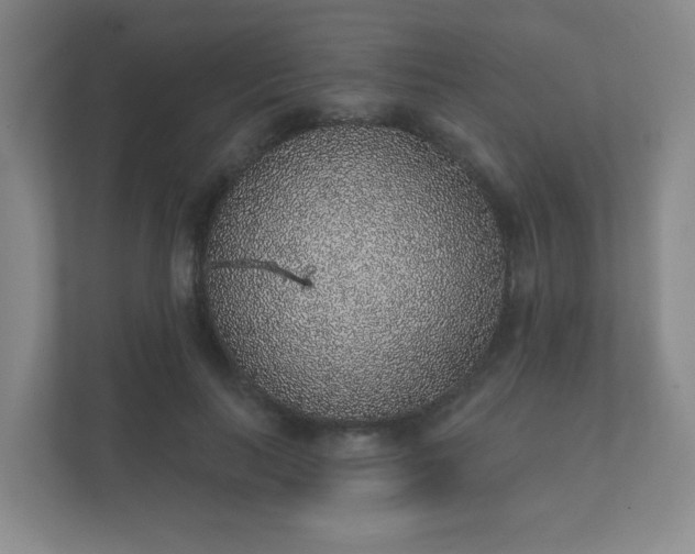 X0000112380647200908201523