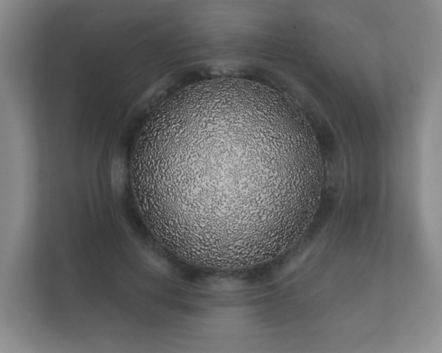 X0000112380648200908201523