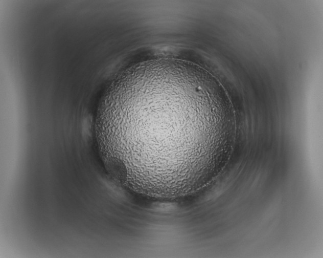 X0000112380649200908201523