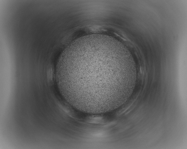 X0000112380651200908201523