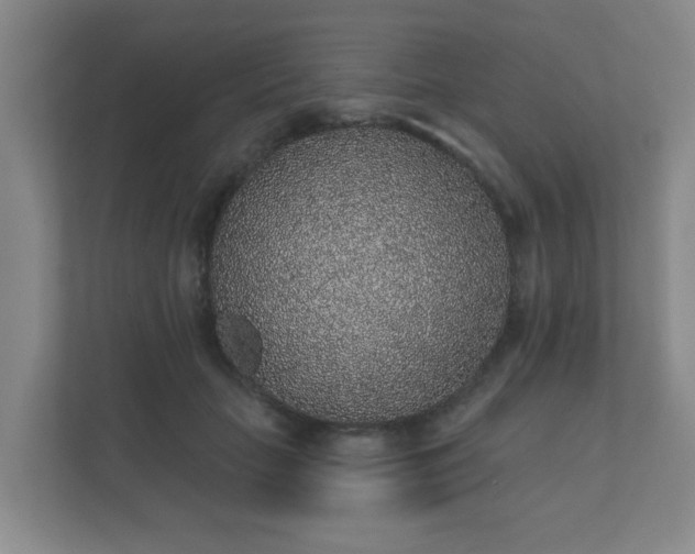 X0000112380653200908201523