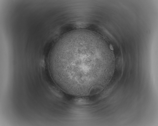 X0000112380655200908201523