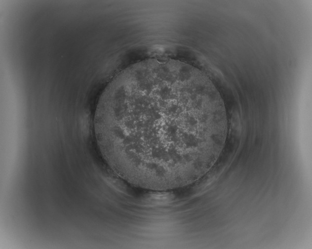 X0000112380659200908201523