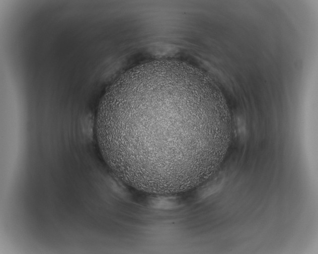 X0000112380664200908201523