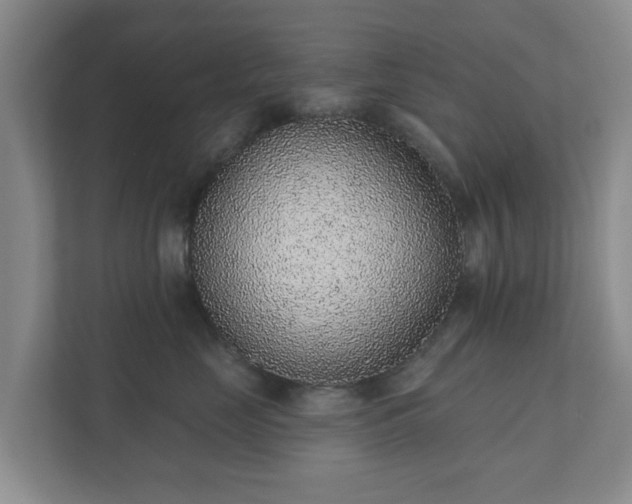 X0000112380669200908201523